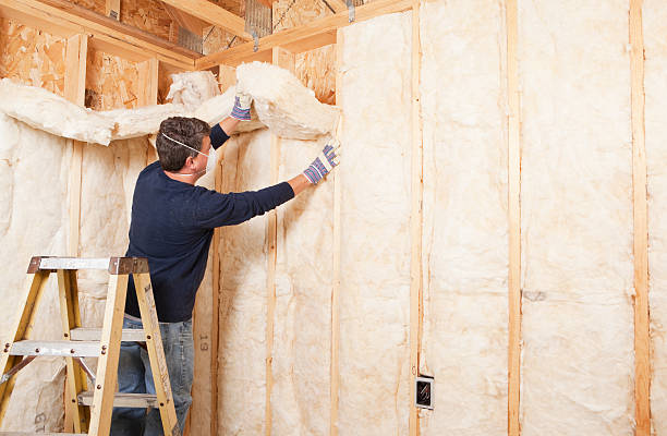 Best Soundproof Insulation  in Oviedo, FL